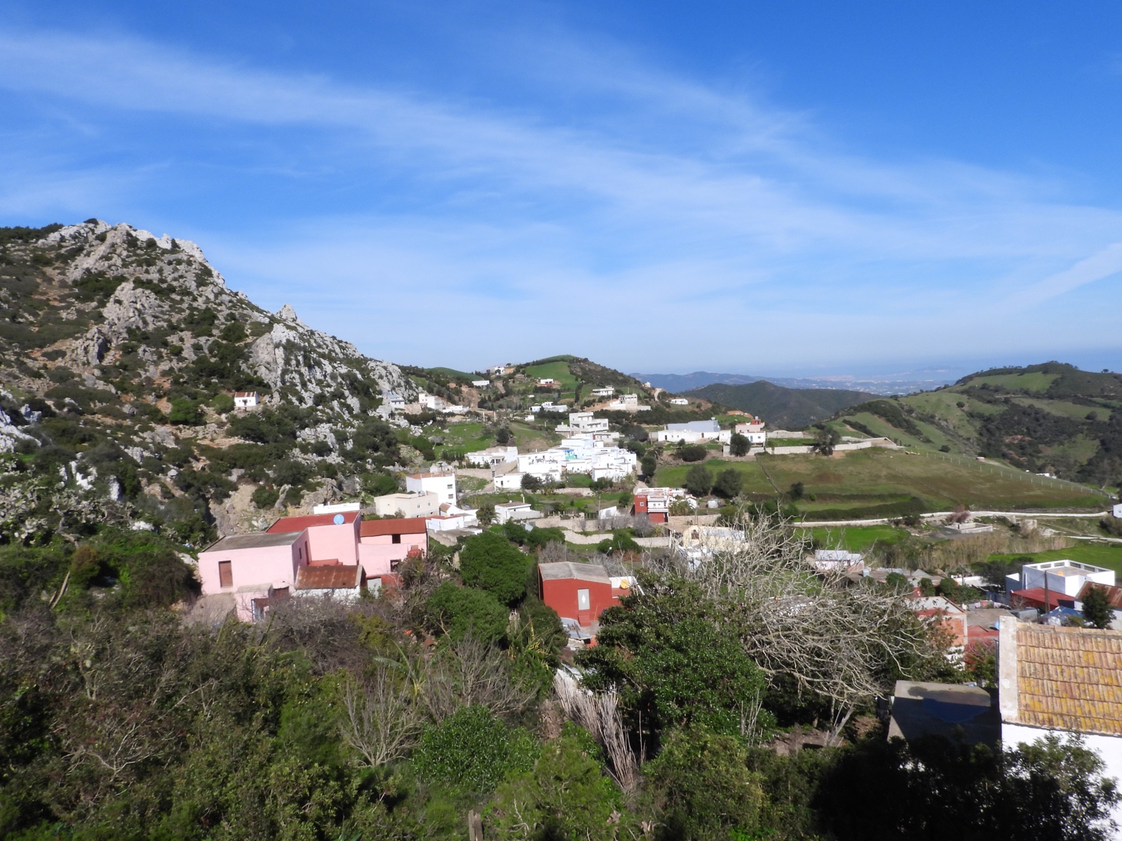 naturaleza-colaboracion-septem-nostra-3