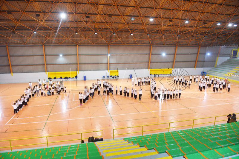 paz-solidaridad-ceip-rosalia-castro