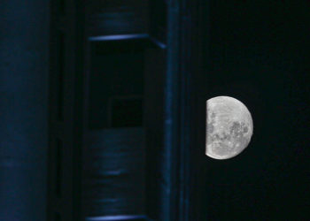 primera-luna-llena-2024-lobo-cuando-ver
