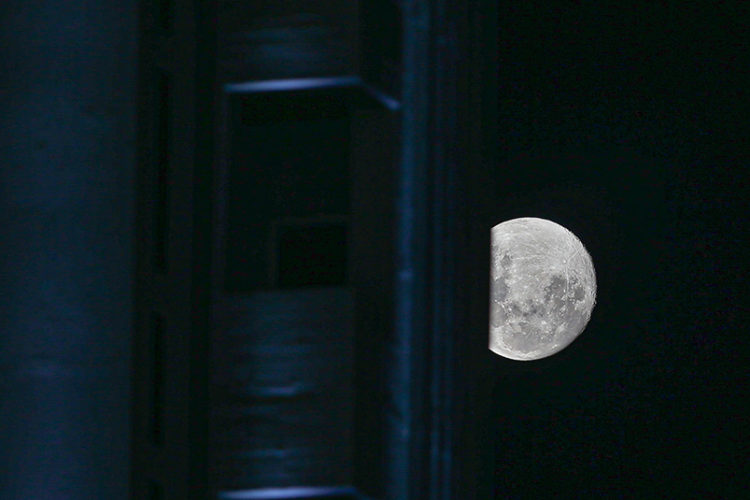 primera-luna-llena-2024-lobo-cuando-ver