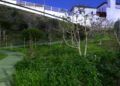 vecinos-sidi-embarek-reclaman-mejoras-iluminacion-parque-infantil-aparcamientos-15