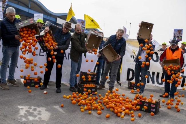 agricultores-marroquies-denuncian-ataques-infundados-europa-productos
