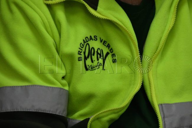 brigadas-verdes-viable-legal-economicamente-subrogacion-007