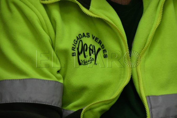 brigadas-verdes-viable-legal-economicamente-subrogacion-007