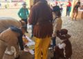 colegio-juan-morejon-carnaval-4