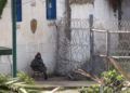 fotos-inmigrantes-exhaustos-algunos-mordidos-perros-rescates-geas-022