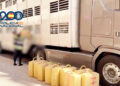 hachis-marruecos-llego-espana-trailer-animales