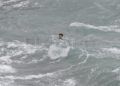 inaccion-marruecos-inmigrantes-cruzan-nado-silencio-oficial-018