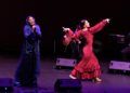 joana-jimenez-espectaculo-flamenco-semana-santa-11