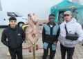 menores-centro-esperanza-cabra-legion-entrega-dorsales-cuna-4