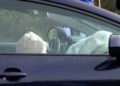 accidente-cuesta-caballeria-13