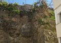arboles-caidos-temporal-brigadas-verdes-13