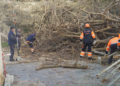 arboles-caidos-temporal-brigadas-verdes-16