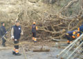 arboles-caidos-temporal-brigadas-verdes-17