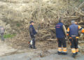 arboles-caidos-temporal-brigadas-verdes-18