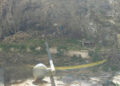 arboles-caidos-temporal-brigadas-verdes-7