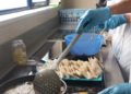 chicos-centro-menores-esperanza-dulces-ramadan-23
