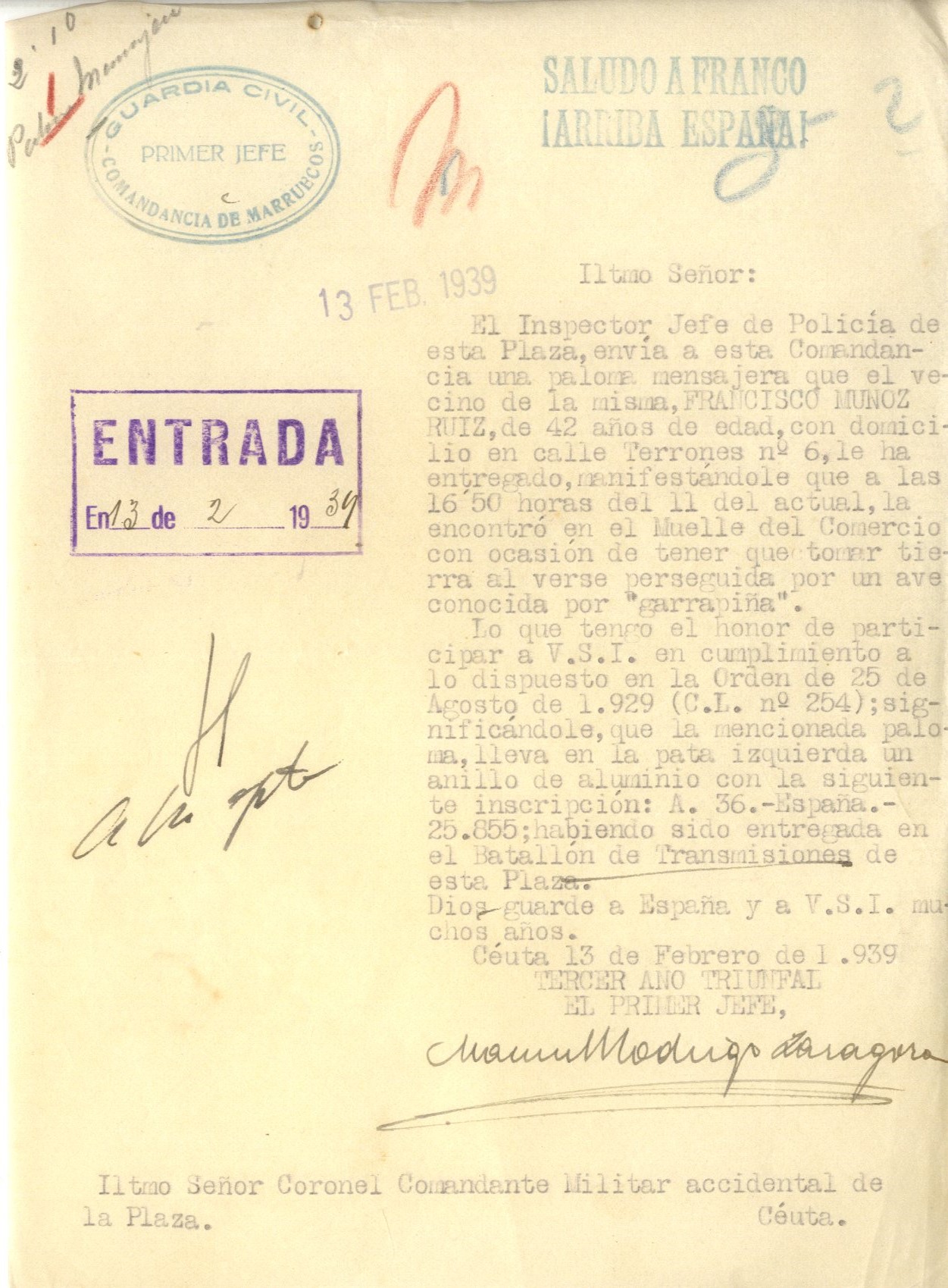 colaboracion-palomas-mensajeras-ejercito-africa-5