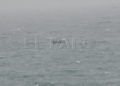 guardia-civil-temporal-salvar-vidas-inmigrantes-espigon-tarajal-16