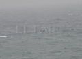 guardia-civil-temporal-salvar-vidas-inmigrantes-espigon-tarajal-6