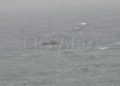 guardia-civil-temporal-salvar-vidas-inmigrantes-espigon-tarajal-7