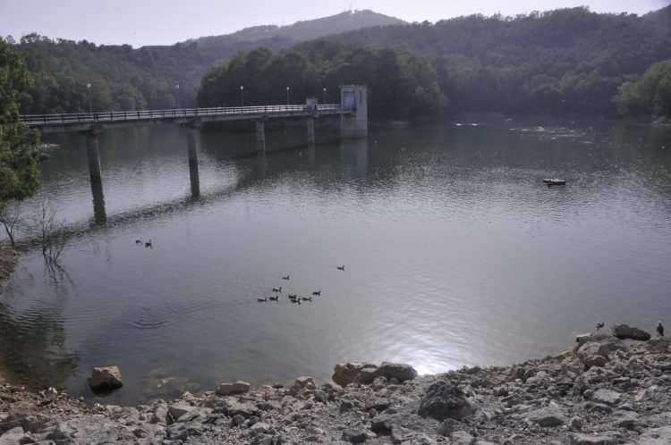 pantano-renegado-2