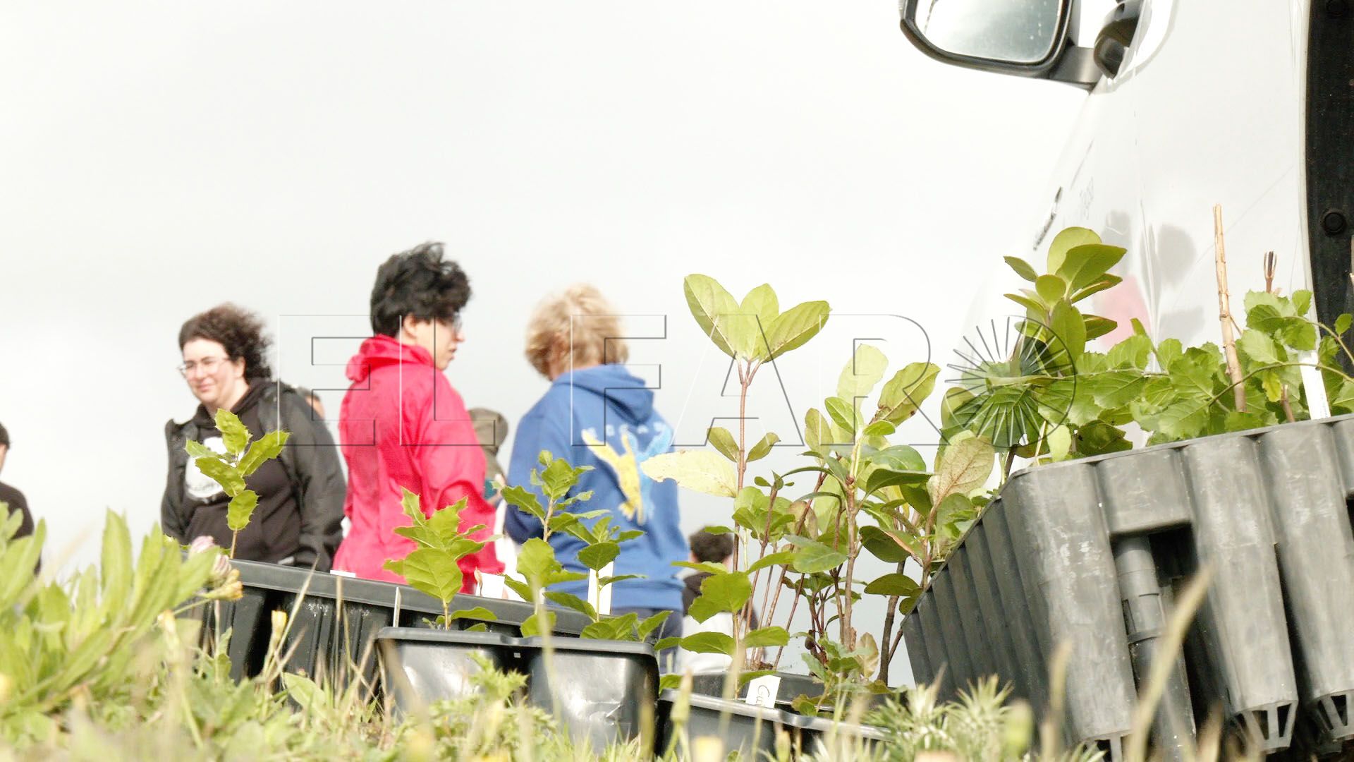 ceuties-reforestar-garcia-aldave-alcornoques-seo-birdlife