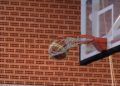 torneo-baloncesto-bicentenario-policia-nacional-4
