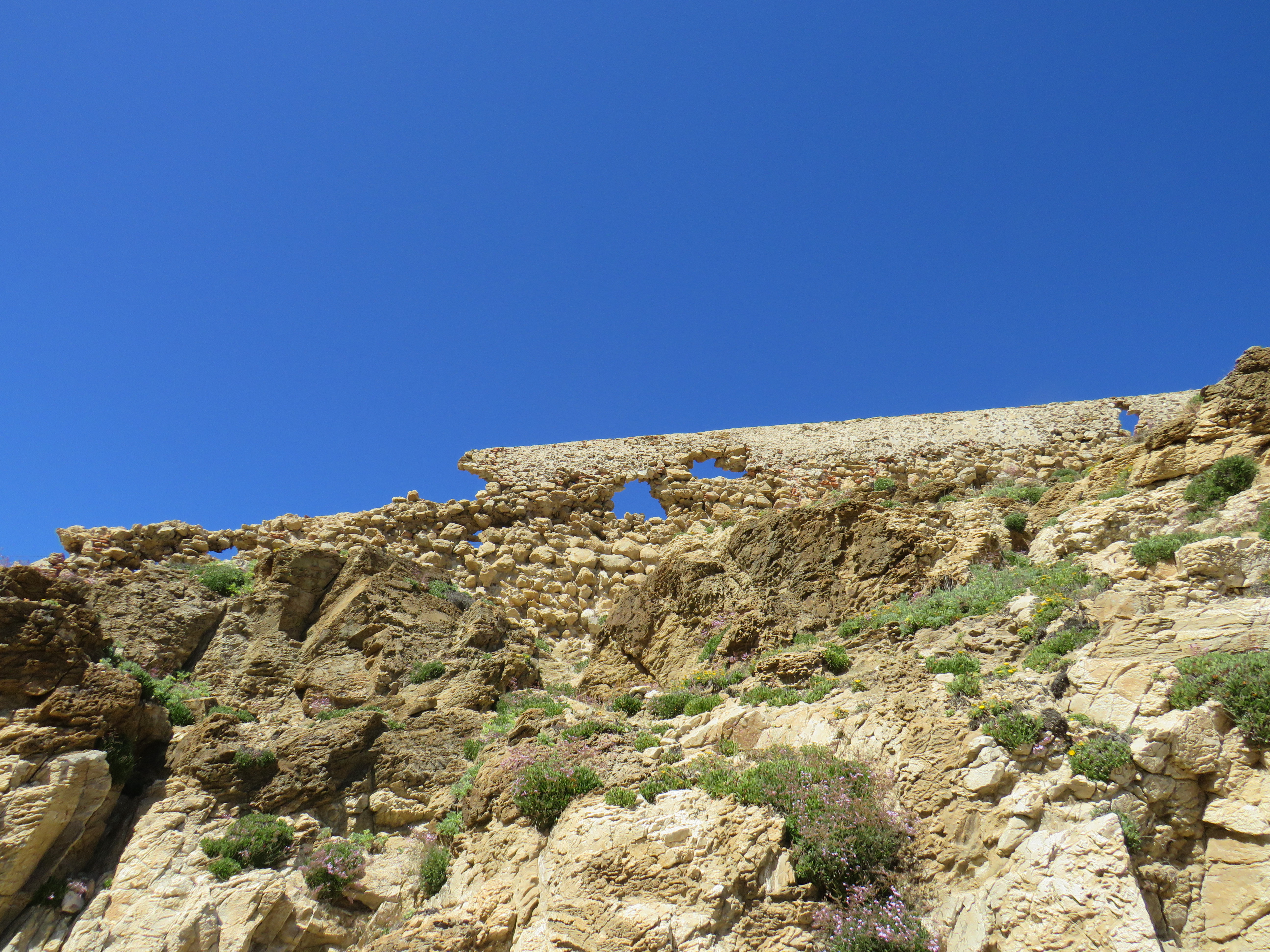 cala-desnarigado-colaboracion-septem-nostra-2