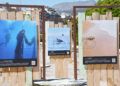 exposicion-programa-pleamar-paseo-marina-12