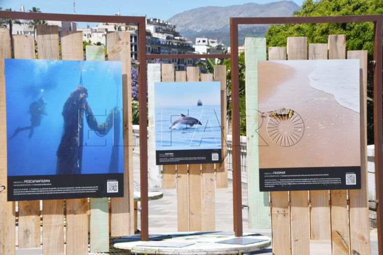 exposicion-programa-pleamar-paseo-marina-12