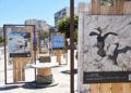 exposicion-programa-pleamar-paseo-marina-15
