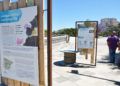 exposicion-programa-pleamar-paseo-marina-16