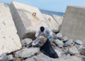 menores-centro-esperanza-limpian-playa-desaladora-12