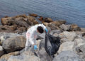 menores-centro-esperanza-limpian-playa-desaladora-17