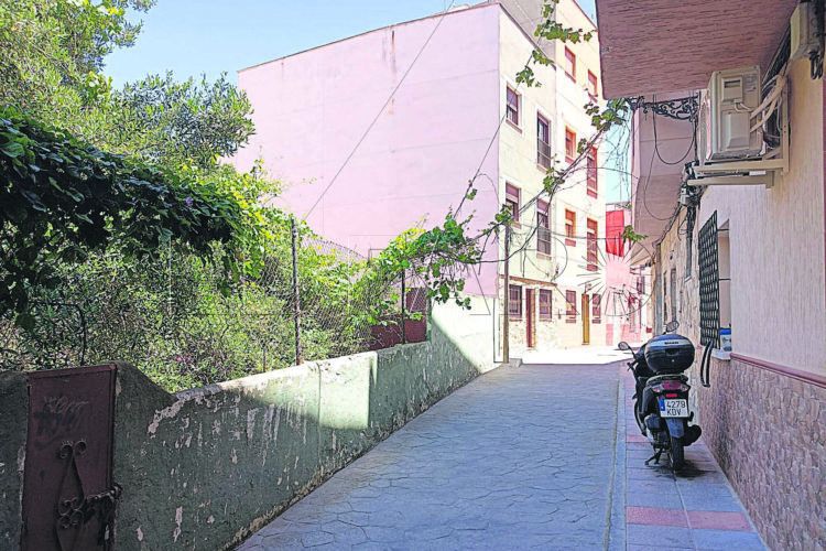 presidenta-vecinos-morro-denuncia-suciedad-barriada-4