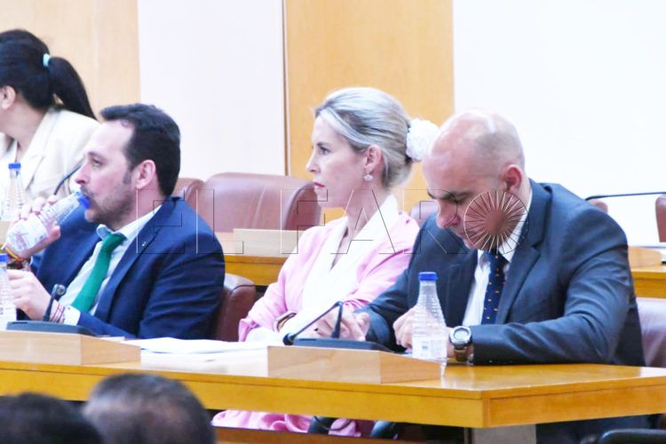 teresa-lopez-juan-sergio-redondo-vox-pleno-ceuta