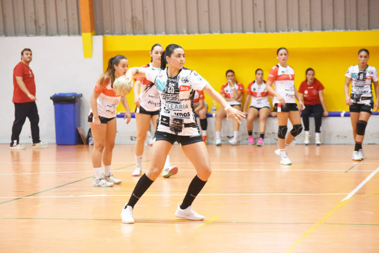 damaris-fernandez-ficha-schar-colores-zaragoza