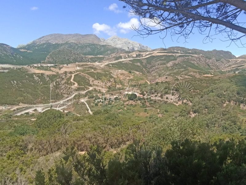 finca-contreras-pide-desbroces-arreglos-pistas-acceso-002