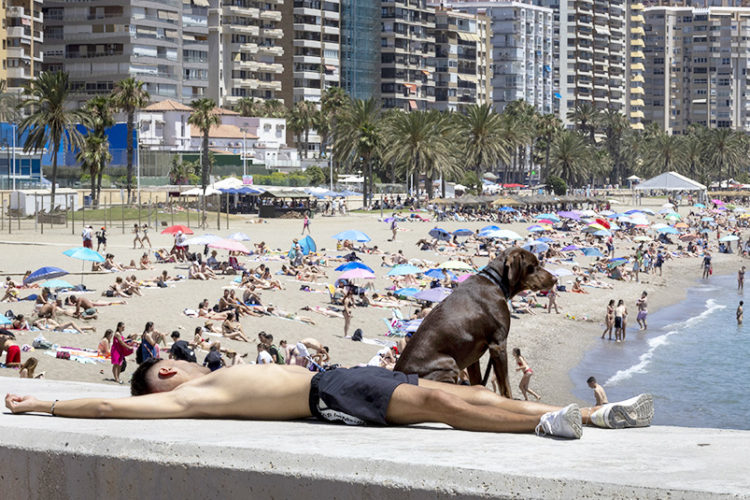 marroquies-eligen-pasar-eid-adha-costa-sol-malaga