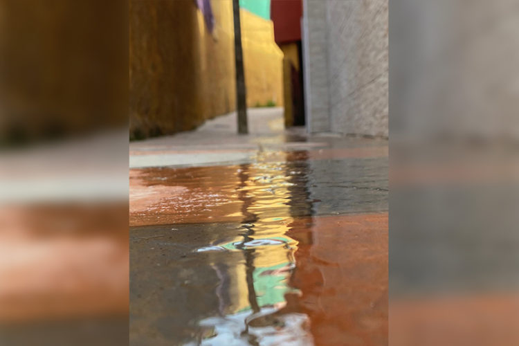 principe-agua-brota-suelo