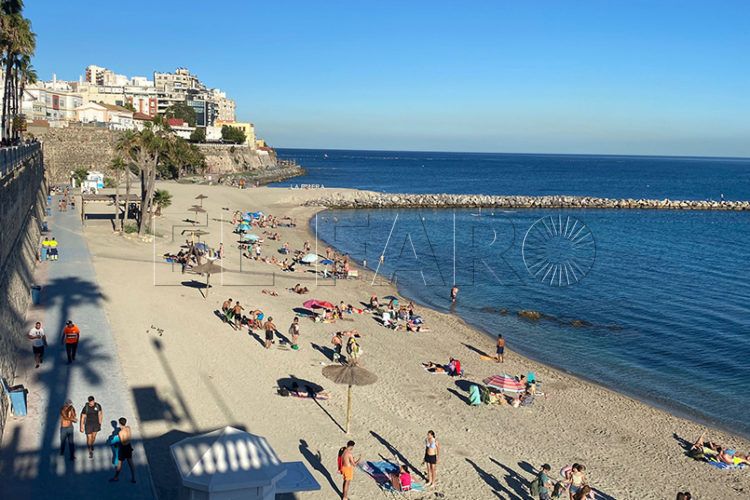 restauracion-playas-ribera-chorrillo-detalle