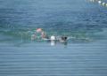 travesia-nado-playa-ribera-pineo-025