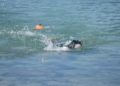 travesia-nado-playa-ribera-pineo-029