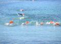 travesia-nado-playa-ribera-pineo-085