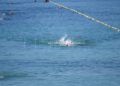travesia-nado-playa-ribera-pineo-098