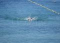 travesia-nado-playa-ribera-pineo-099