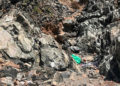 abandono-suciedad-playa-sarchal-convertida-vertedero-1