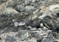 abandono-suciedad-playa-sarchal-convertida-vertedero-11