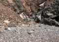 abandono-suciedad-playa-sarchal-convertida-vertedero-13